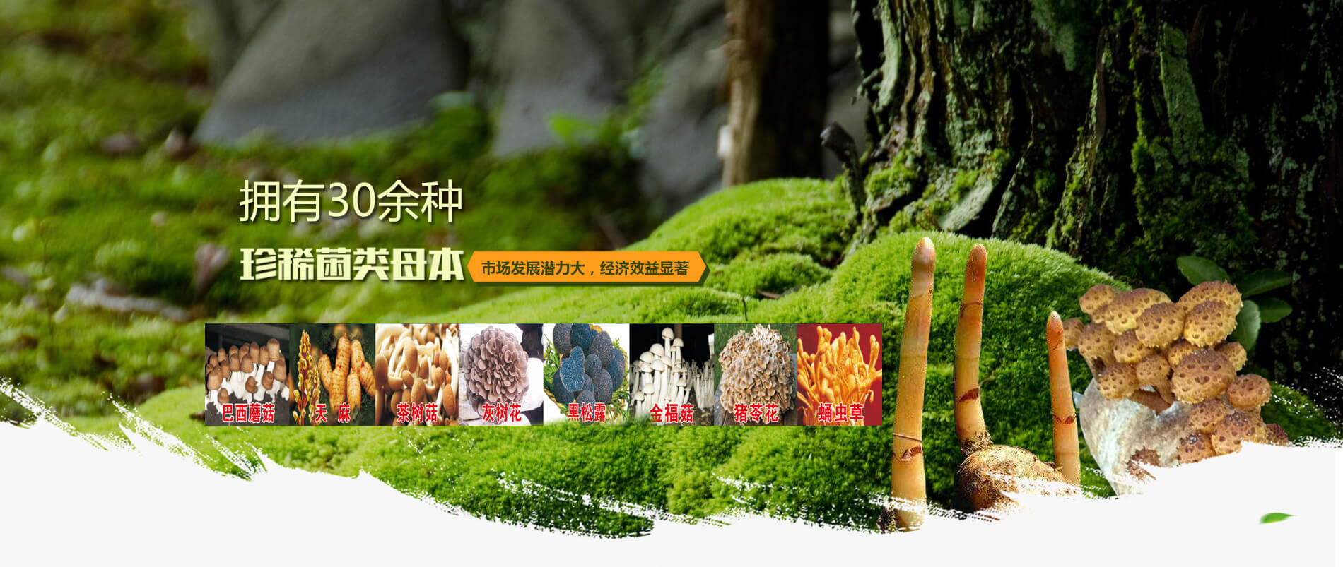 洛陽大荒野生態(tài)農業有限公司
